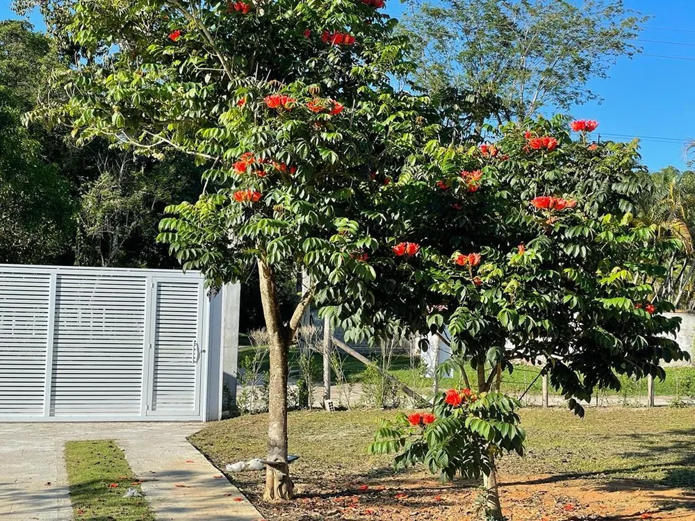 Fazenda à venda com 3 quartos, 110m² - Foto 3