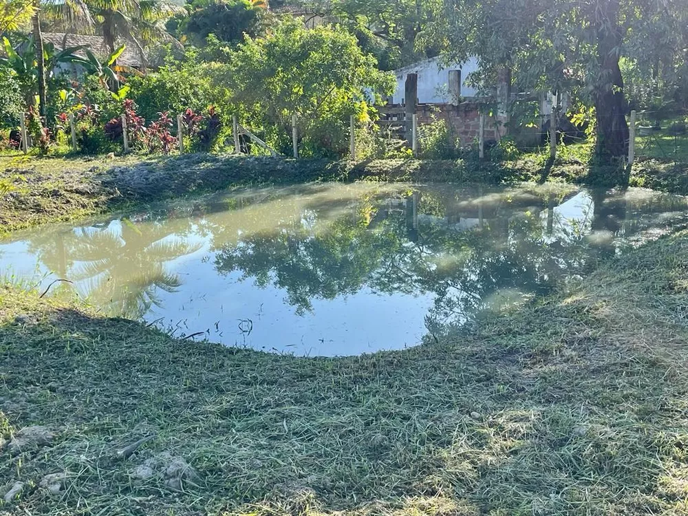 Fazenda à venda com 3 quartos, 110m² - Foto 4