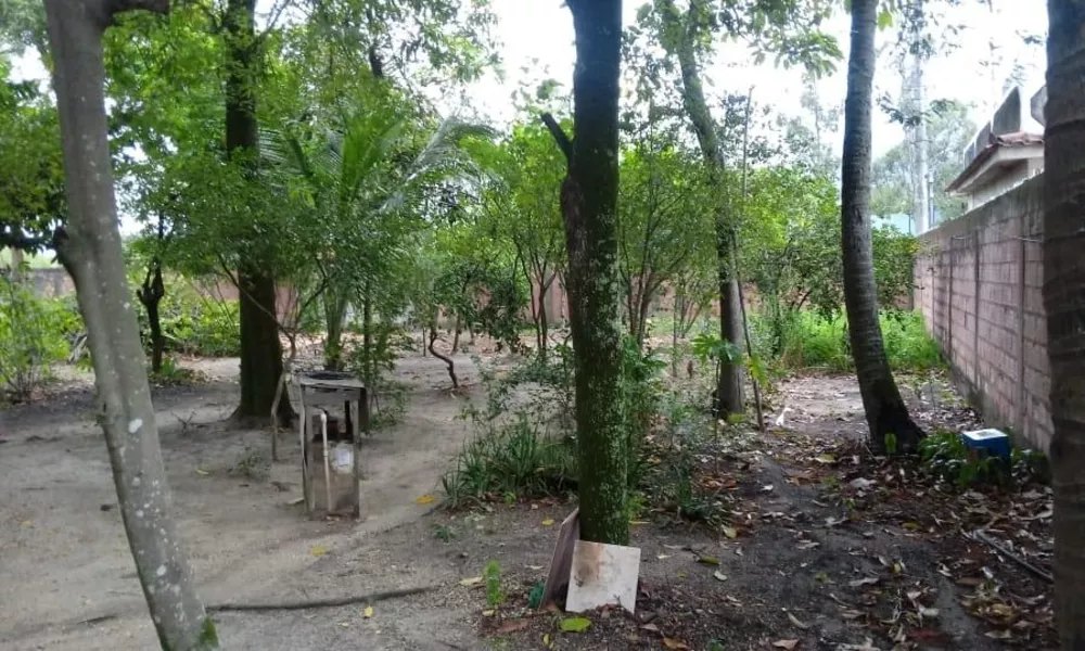 Chácara, 3 quartos - Foto 10