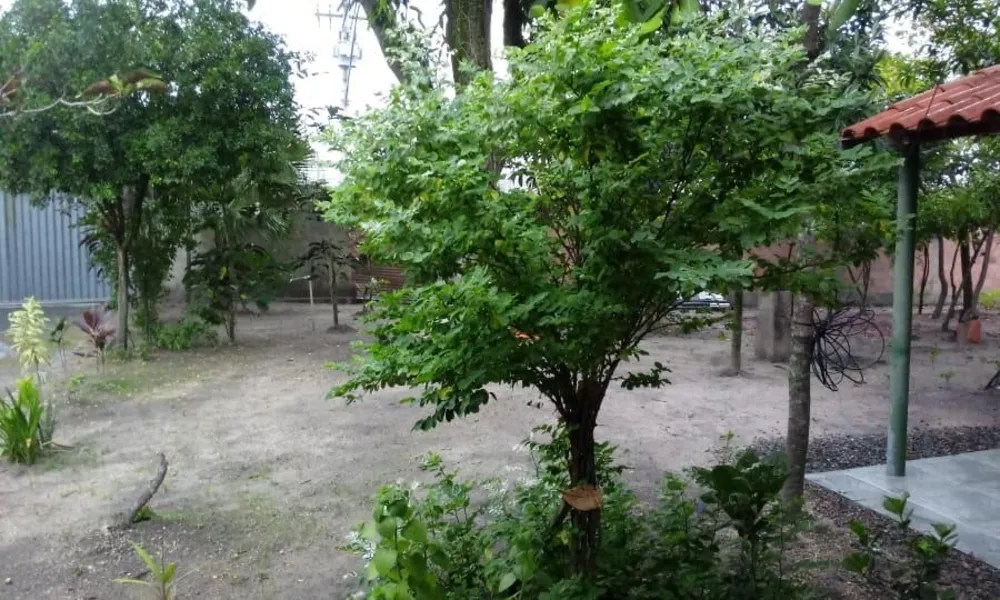 Chácara, 3 quartos - Foto 12