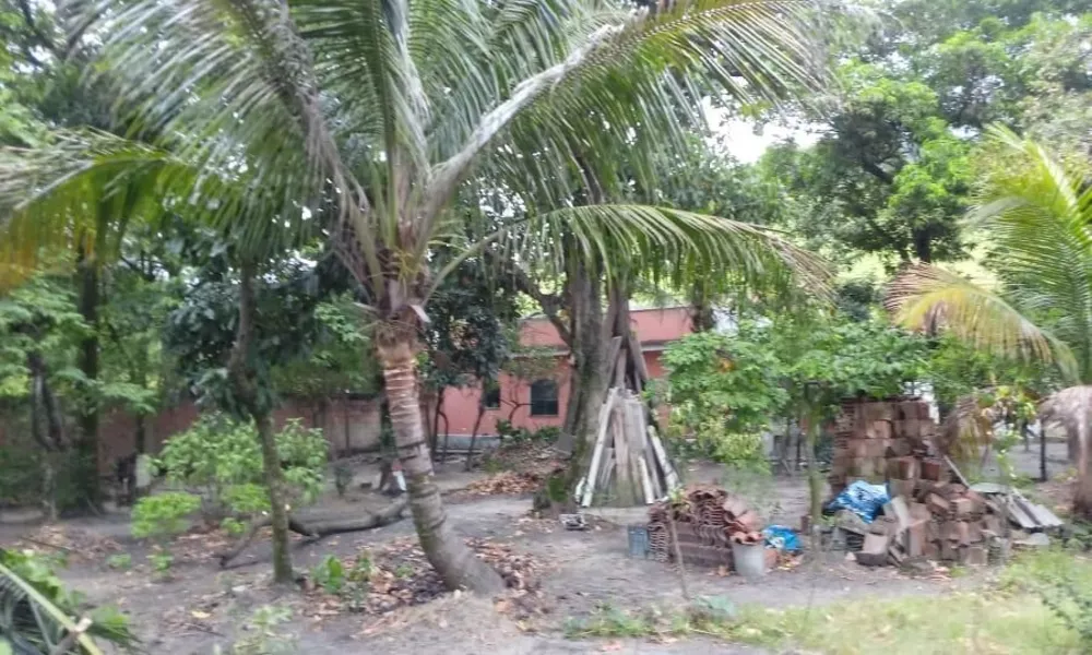 Chácara, 3 quartos - Foto 23