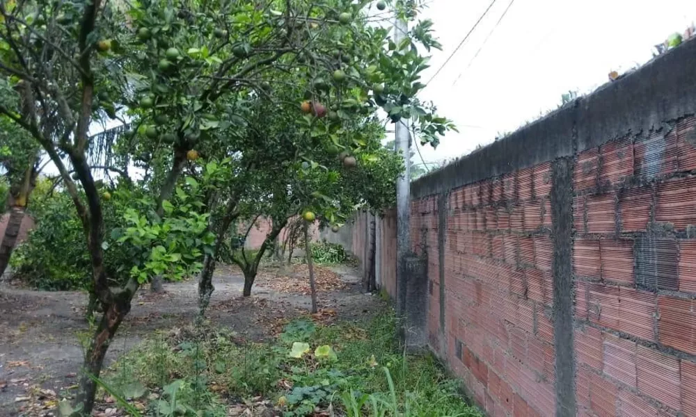 Fazenda à venda com 3 quartos - Foto 6