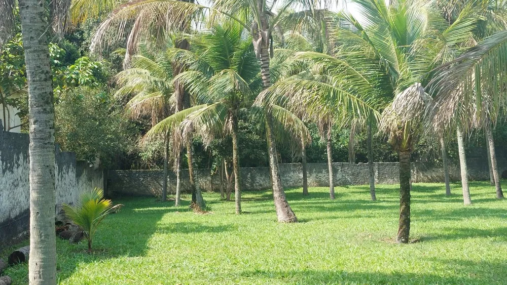 Sítio, 3 quartos - Foto 34