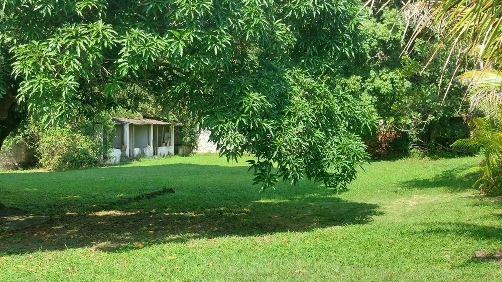 Sítio, 3 quartos - Foto 19