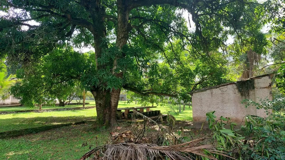 Sítio, 3 quartos - Foto 38