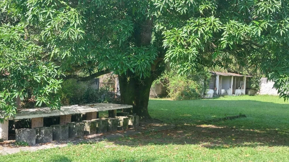 Sítio, 3 quartos - Foto 36