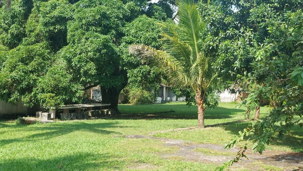 Sítio, 3 quartos - Foto 35