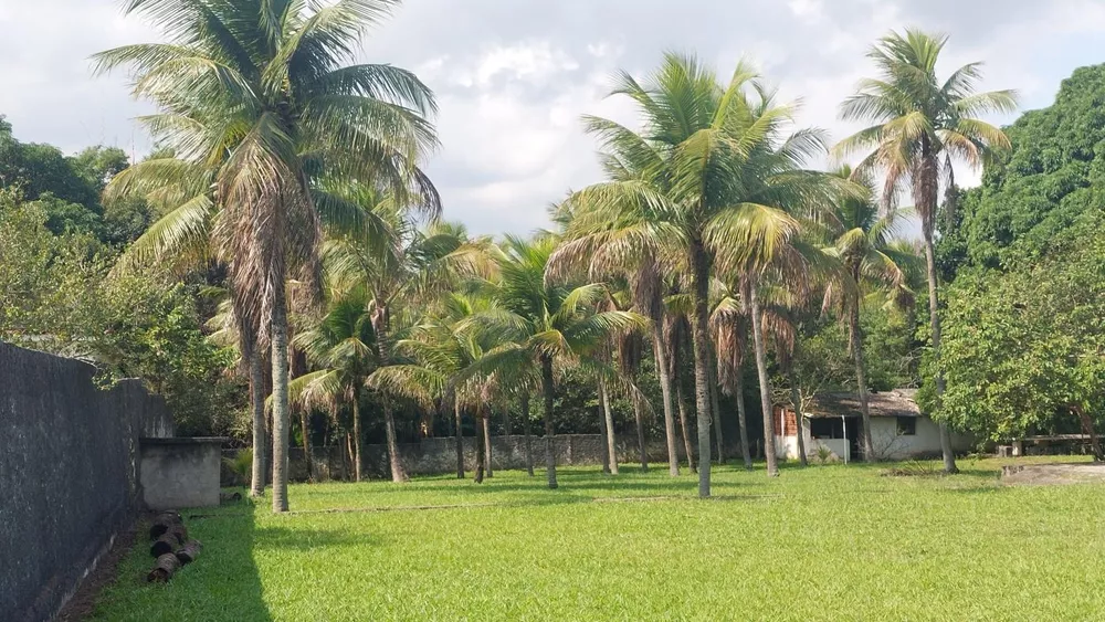 Sítio, 3 quartos - Foto 33