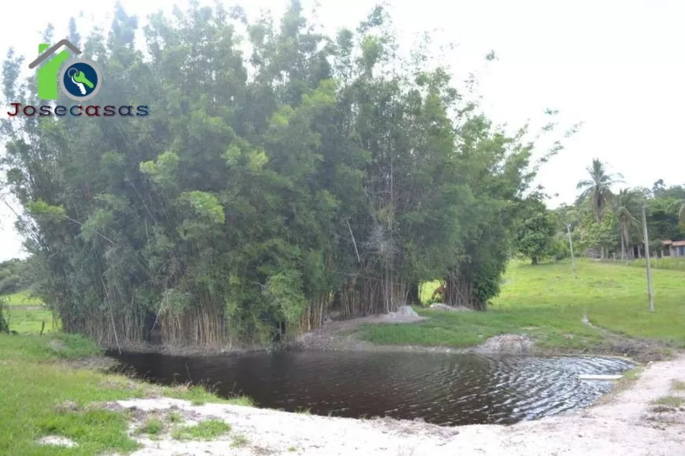 Fazenda, 16 hectares - Foto 15