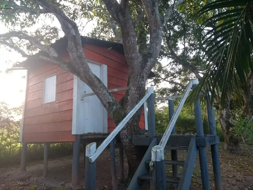 Fazenda à venda com 4 quartos, 200m² - Foto 8