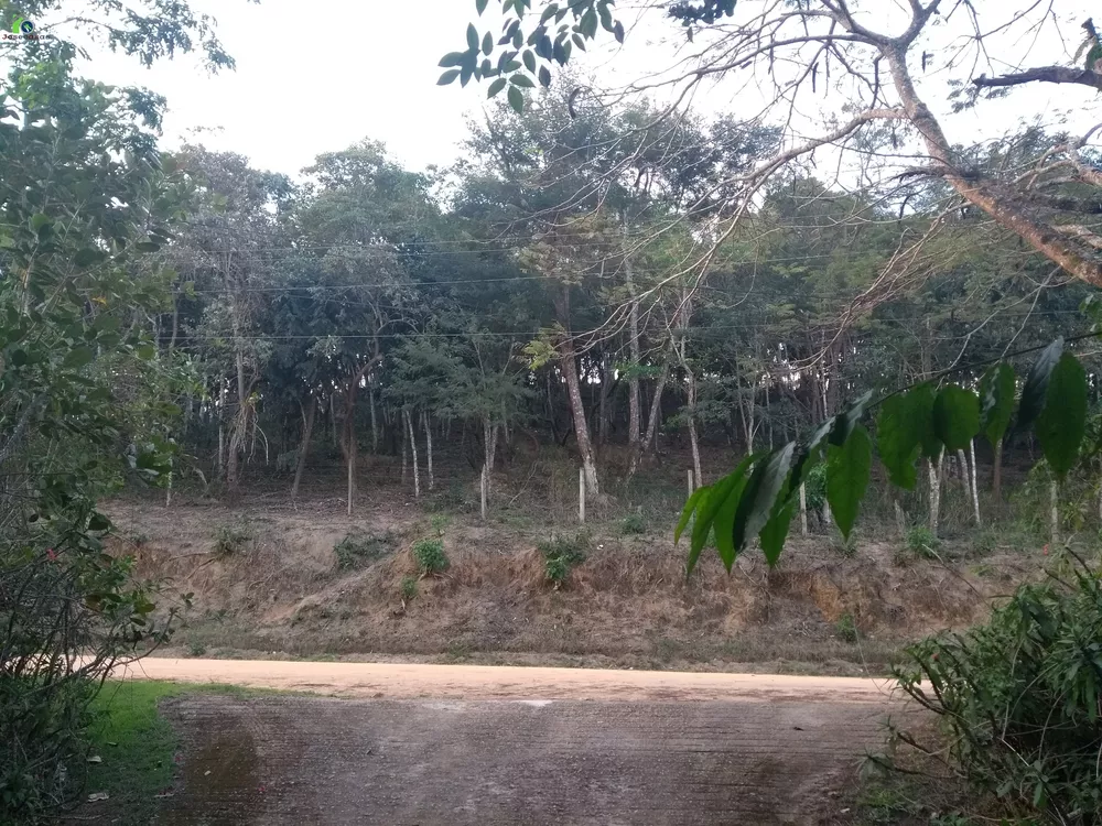 Fazenda, 16 hectares - Foto 26