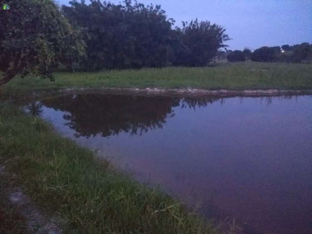 Fazenda, 16 hectares - Foto 19