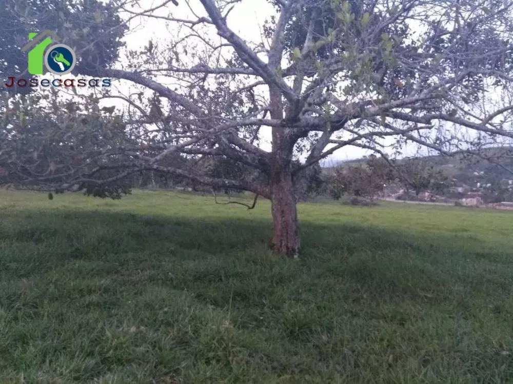 Fazenda, 16 hectares - Foto 25