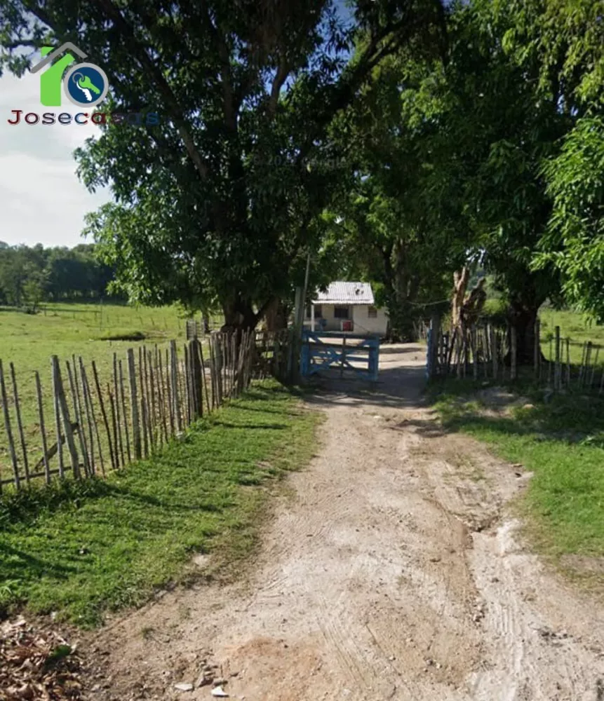 Fazenda, 3 quartos - Foto 14