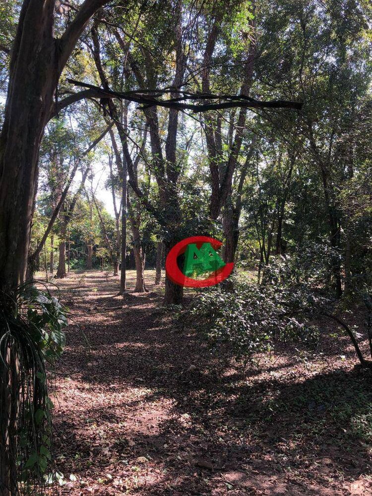 Casa, 5 quartos, 801 m² - Foto 1