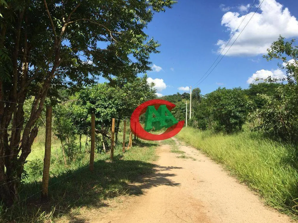 Terreno, 2 hectares - Foto 4