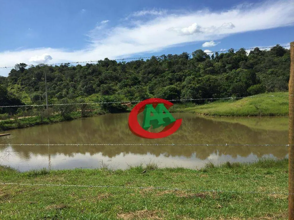 Terreno, 2 hectares - Foto 6