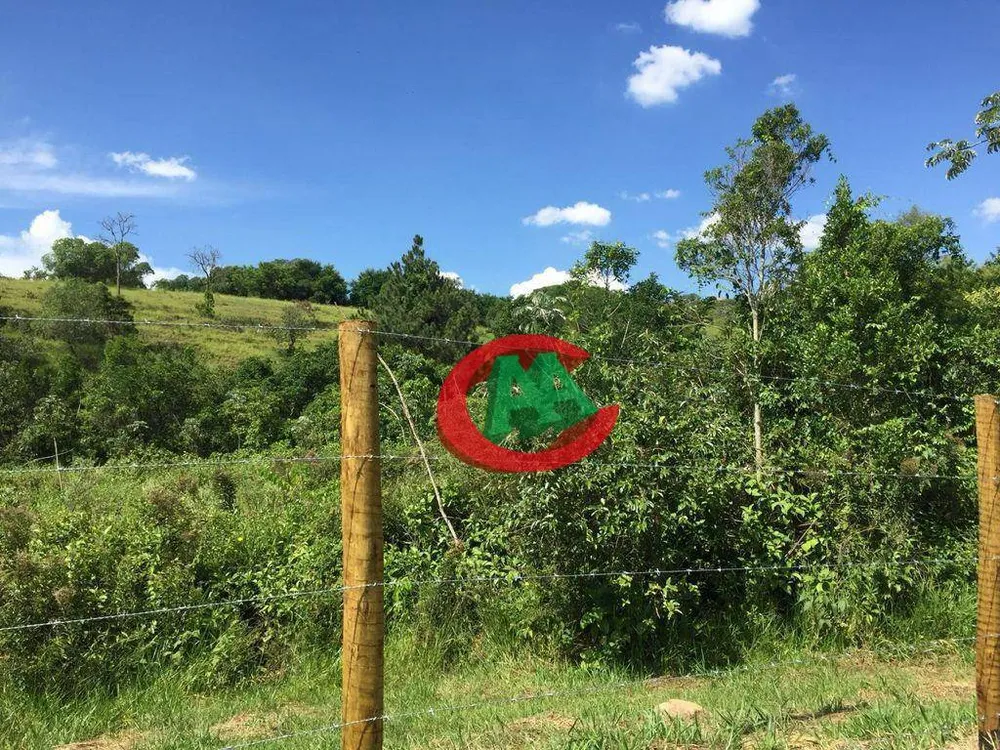 Terreno, 2 hectares - Foto 7