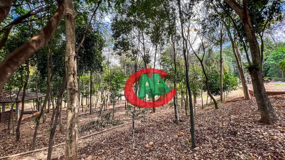 Chácara, 6 quartos, 5000 m² - Foto 4