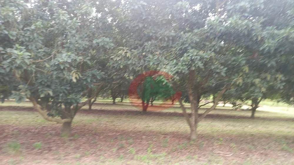 Sítio, 1 quarto, 2 hectares - Foto 4