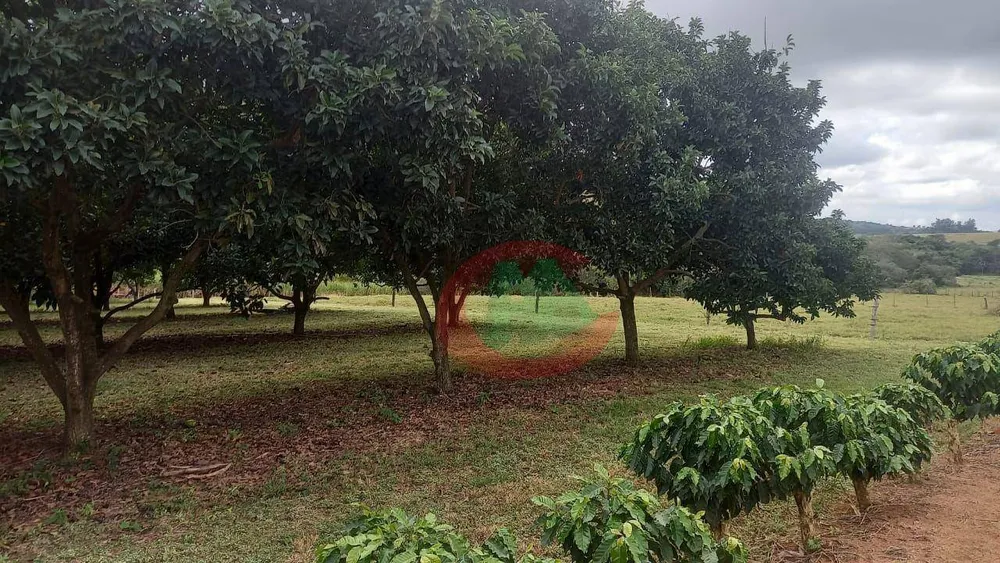 Sítio, 1 quarto, 2 hectares - Foto 2