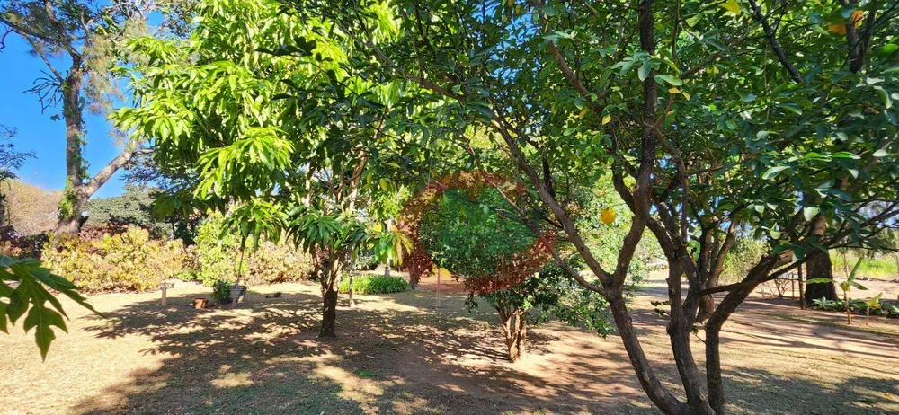 Chácara, 4 quartos, 3280 m² - Foto 12