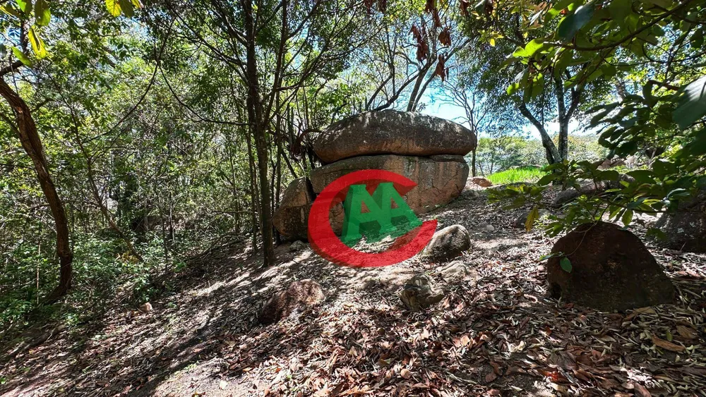 Sítio, 3 quartos, 2 hectares - Foto 6