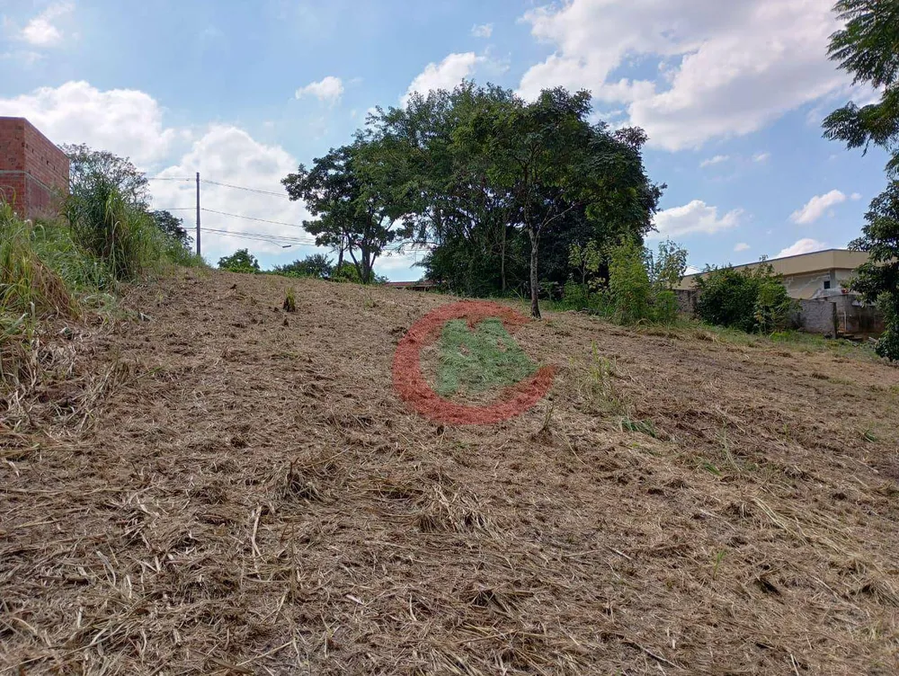 Terreno, 2500 m² - Foto 6