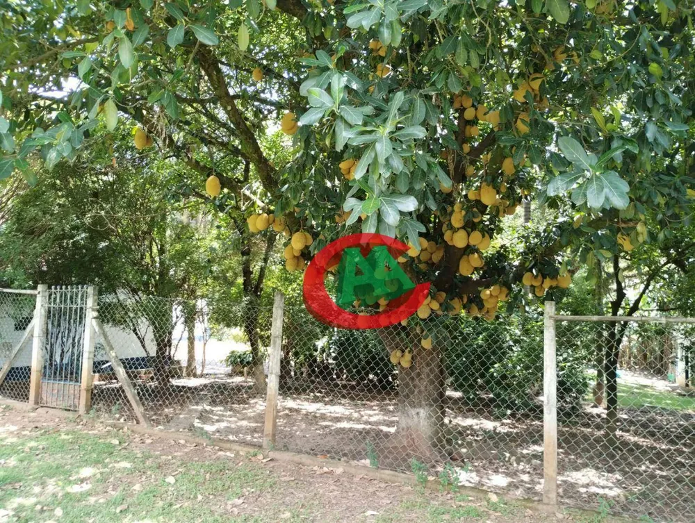 Chácara, 2 quartos, 5000 m² - Foto 17