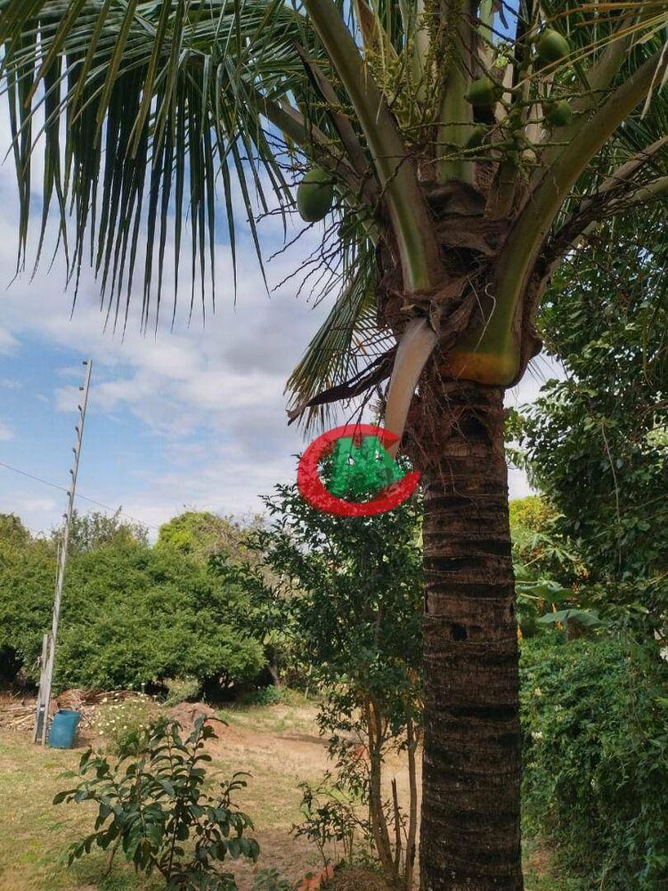 Casa de Condomínio à venda com 3 quartos, 106m² - Foto 15