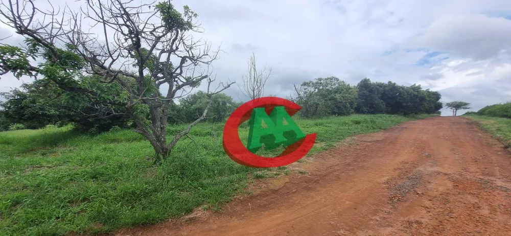 Terreno, 21 hectares - Foto 3
