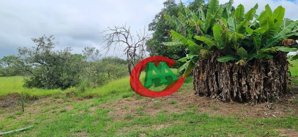 Terreno, 21 hectares - Foto 4