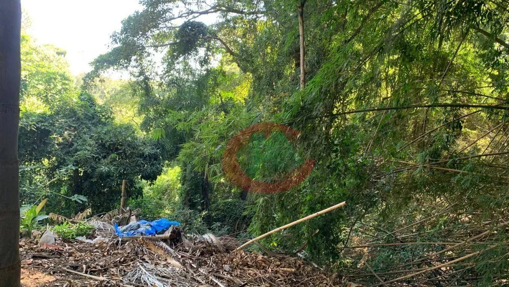 Terreno, 2 hectares - Foto 3