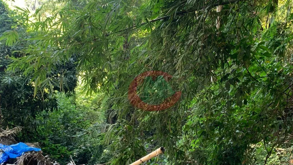 Terreno, 2 hectares - Foto 1