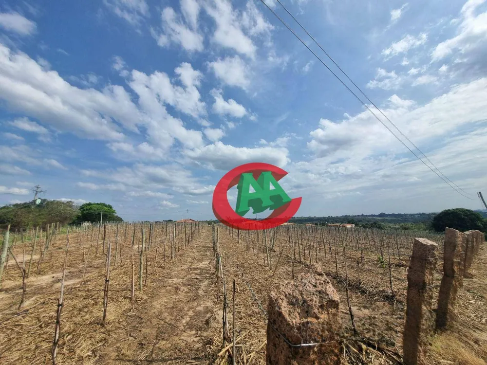 Sítio, 2 quartos, 5 hectares - Foto 1