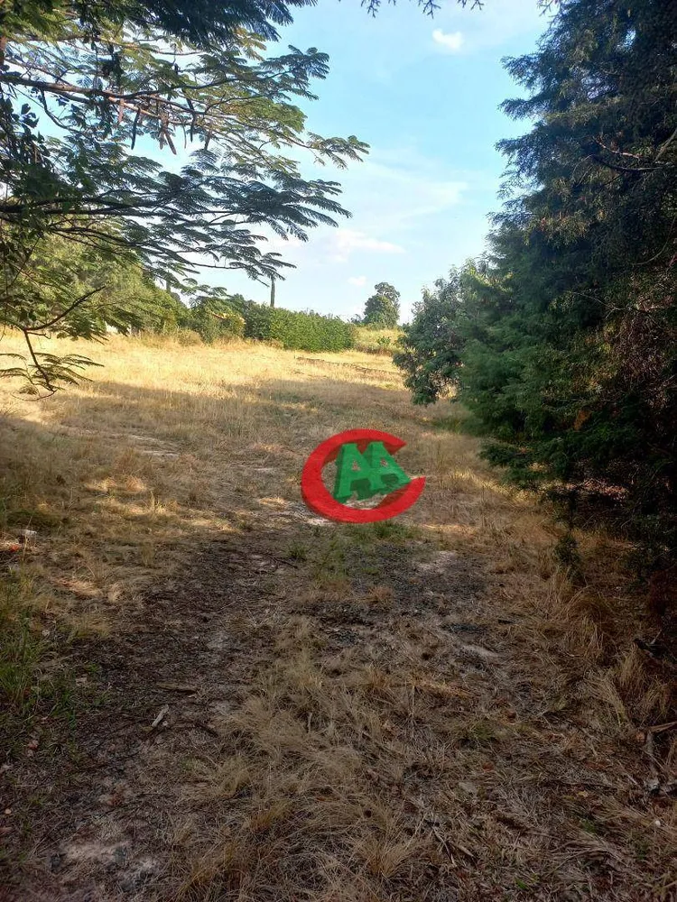 Terreno, 6000 m² - Foto 2