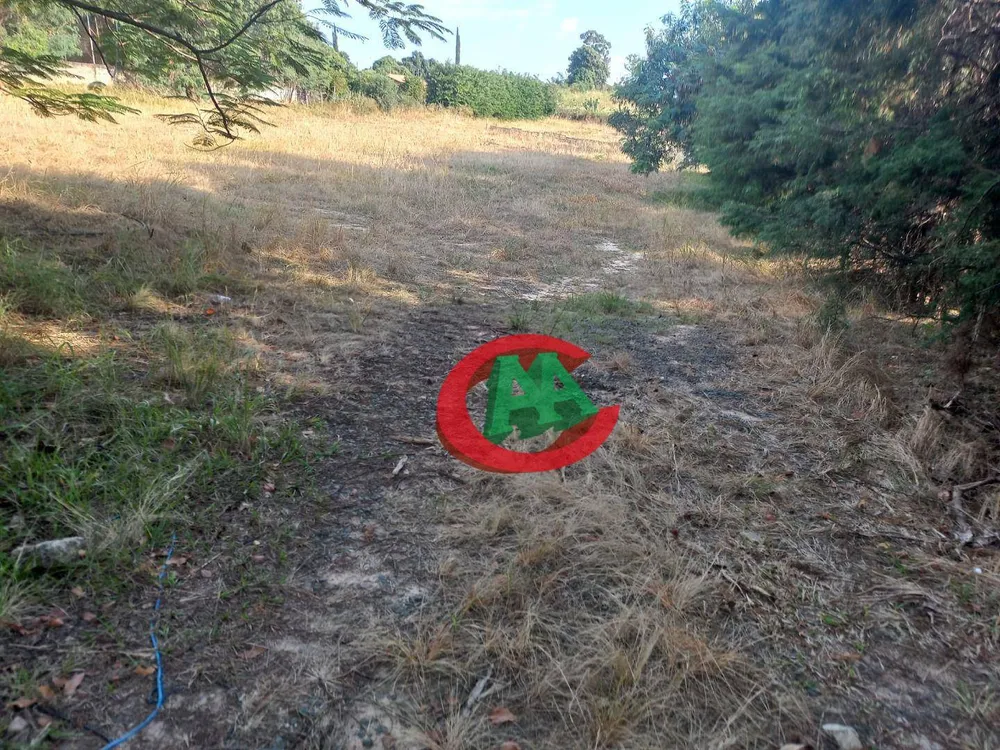 Terreno, 6000 m² - Foto 9