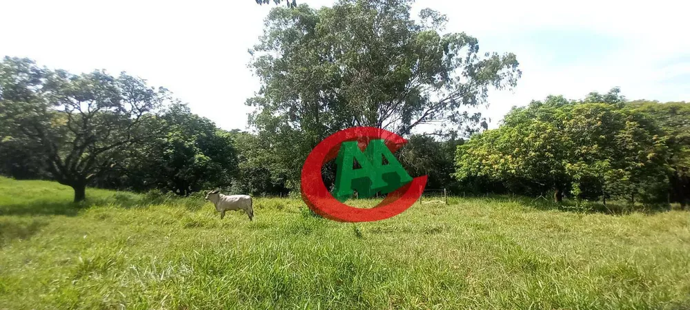 Sítio, 13 quartos, 8 hectares - Foto 3