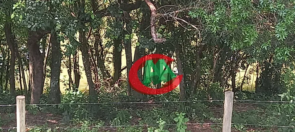 Sítio, 13 quartos, 8 hectares - Foto 4