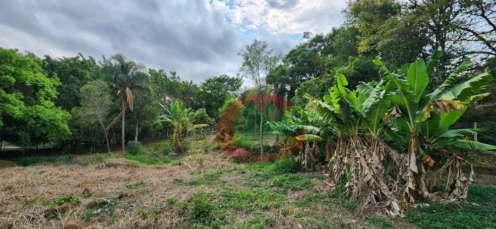 Loteamento e Condomínio, 4280 m² - Foto 5