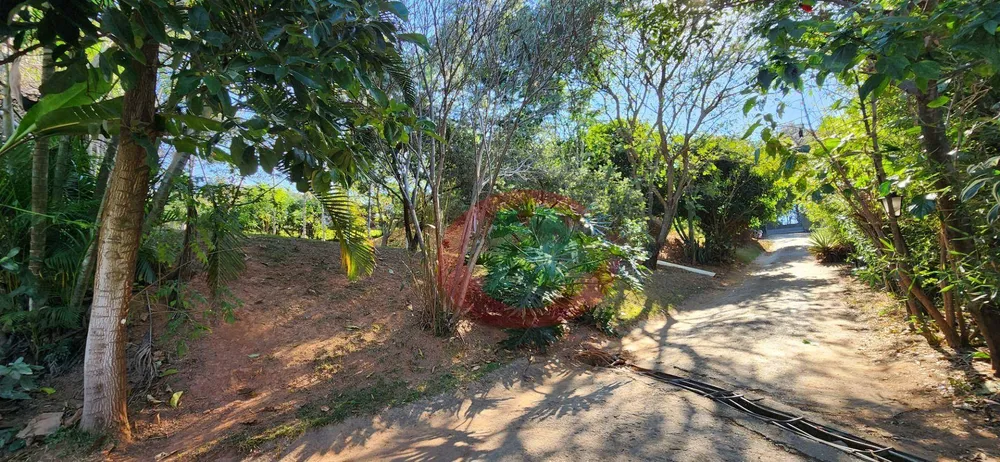 Chácara, 4 quartos, 2500 m² - Foto 8