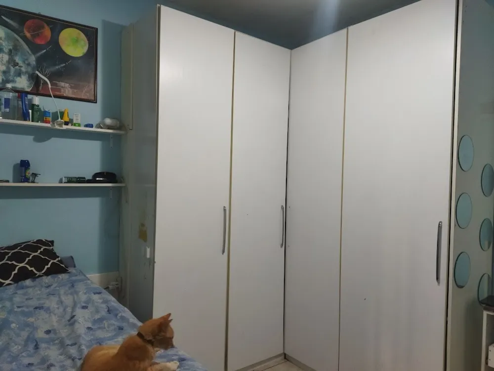 Casa, 3 quartos - Foto 14