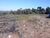 Terreno, 300 m² - Foto 2