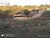 Terreno, 450 m² - Foto 4