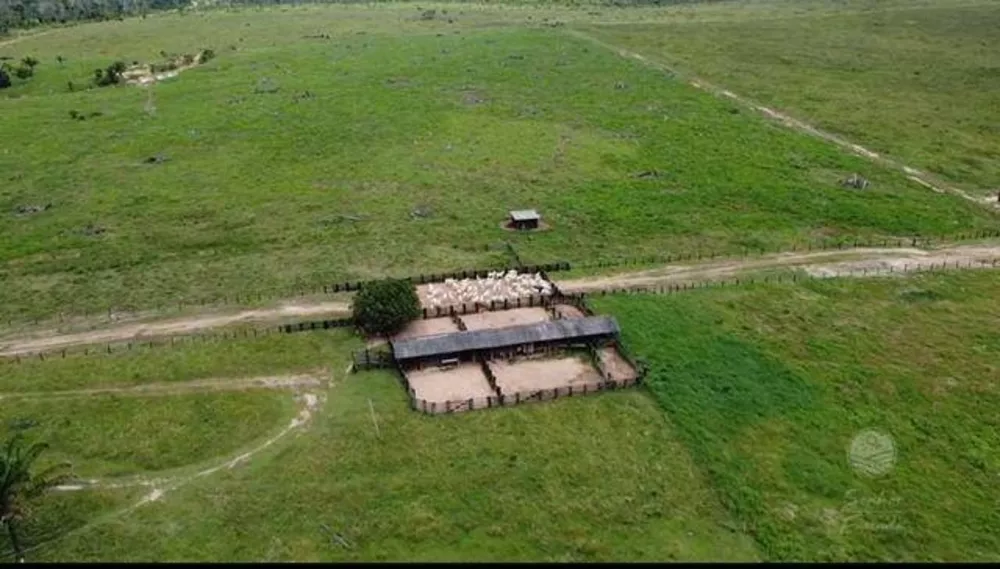 Fazenda, 936 hectares - Foto 5