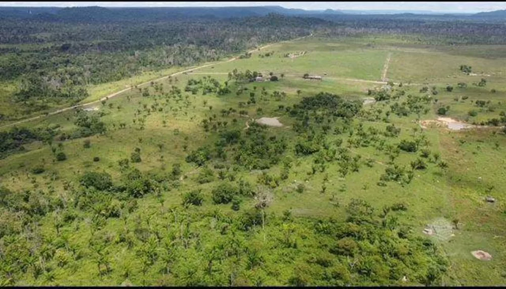Fazenda, 936 hectares - Foto 6
