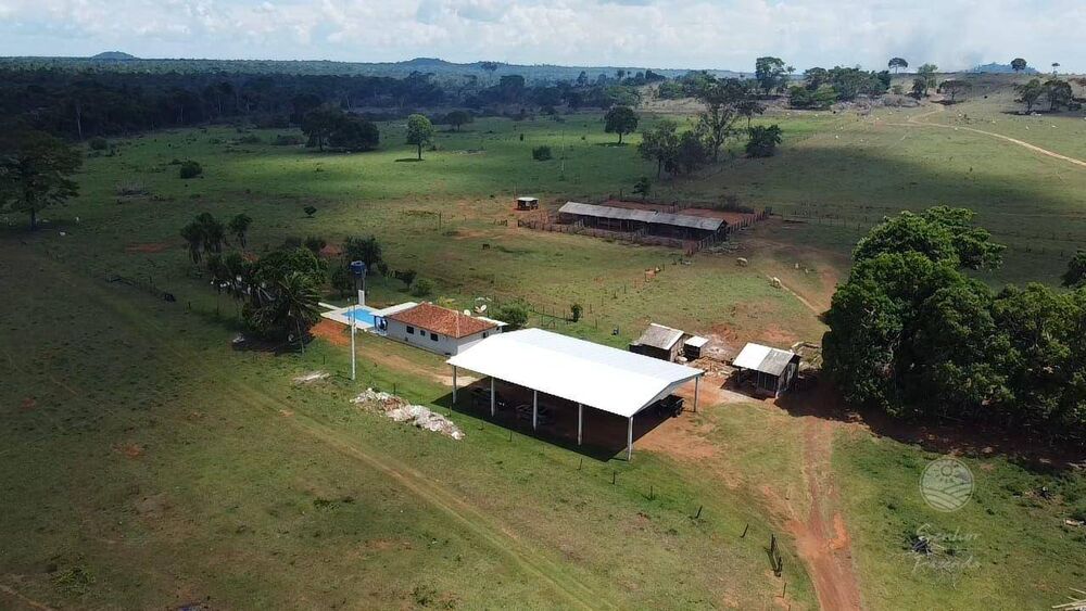 Fazenda, 931 hectares - Foto 4