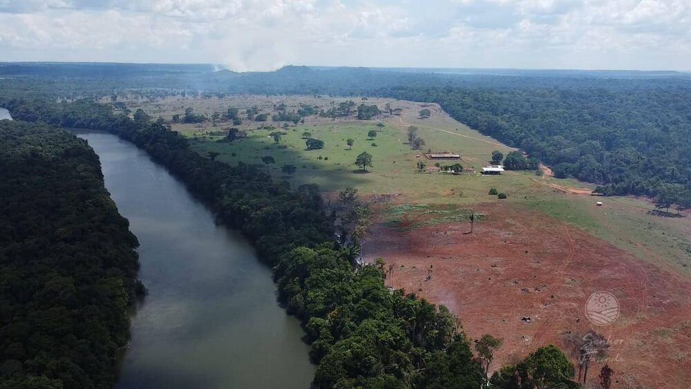 Fazenda, 931 hectares - Foto 1