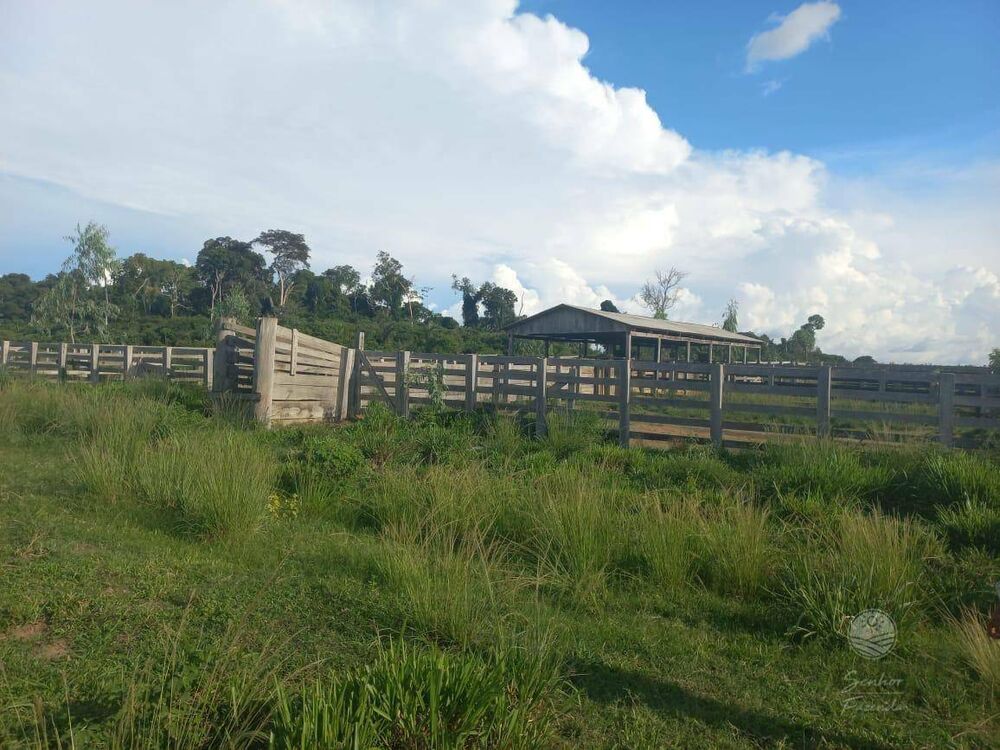 Fazenda à venda, 26620000M2 - Foto 5