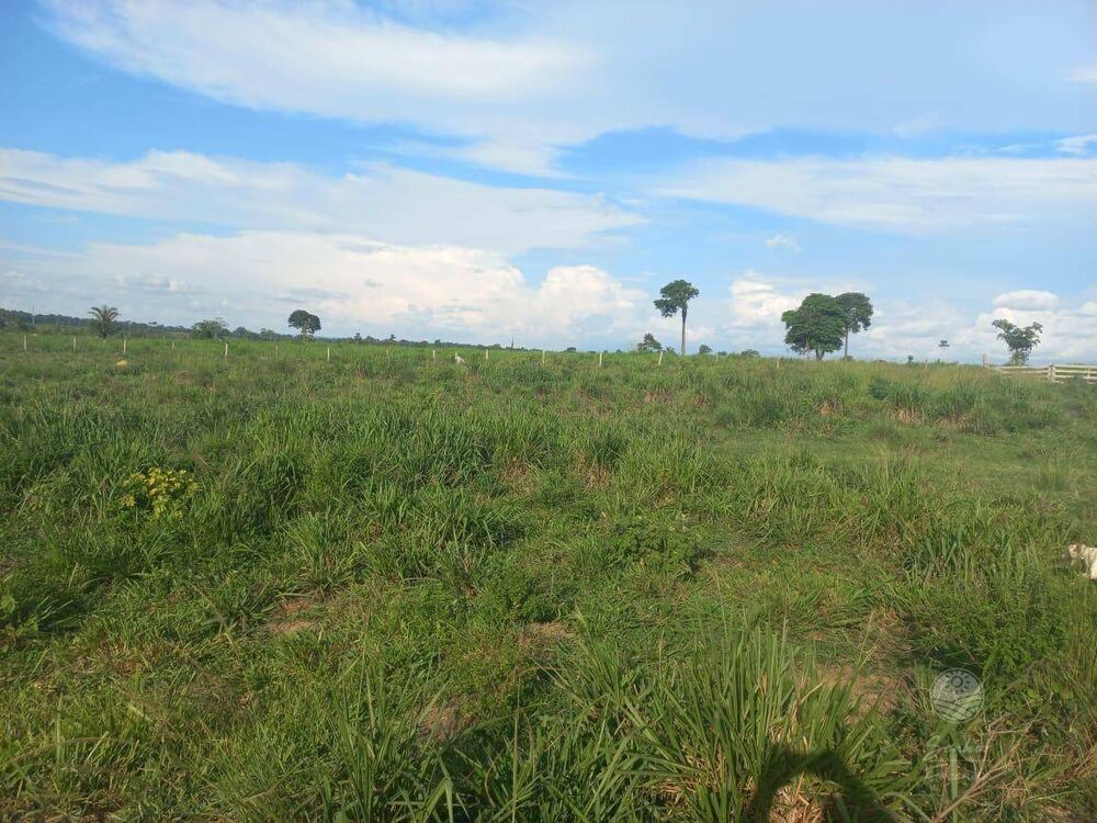 Fazenda à venda, 26620000M2 - Foto 8